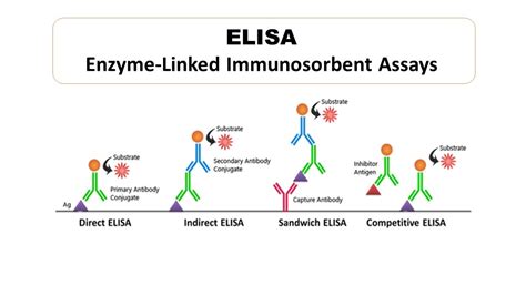 elisa principle and types